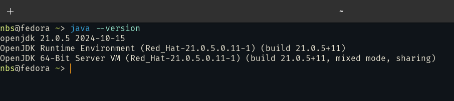 Check Java version